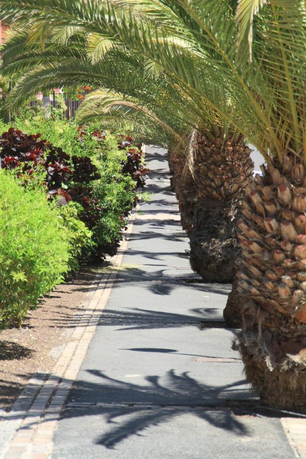 Spacious Apartment With Large Private Garden In Palm Mar Exterior foto